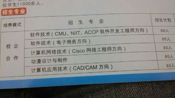 大學(xué)軟件測(cè)試方向?qū)I(yè)選擇指南 計(jì)算機(jī)網(wǎng)絡(luò)、計(jì)算機(jī)應(yīng)用與軟件技術(shù)深度解析